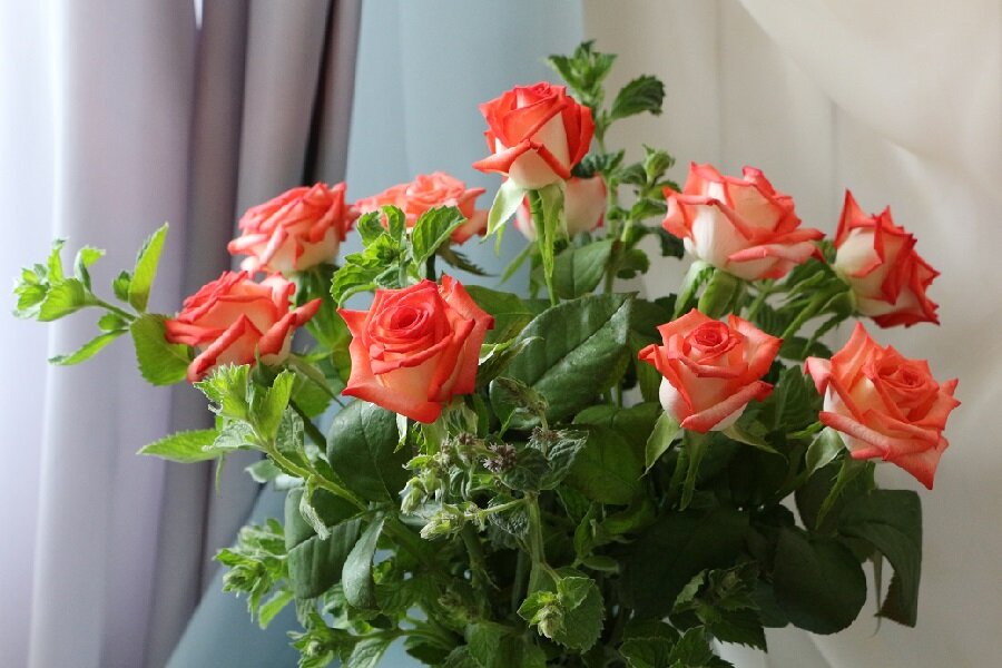 Розы с мятой - Надежд@ Шавенкова