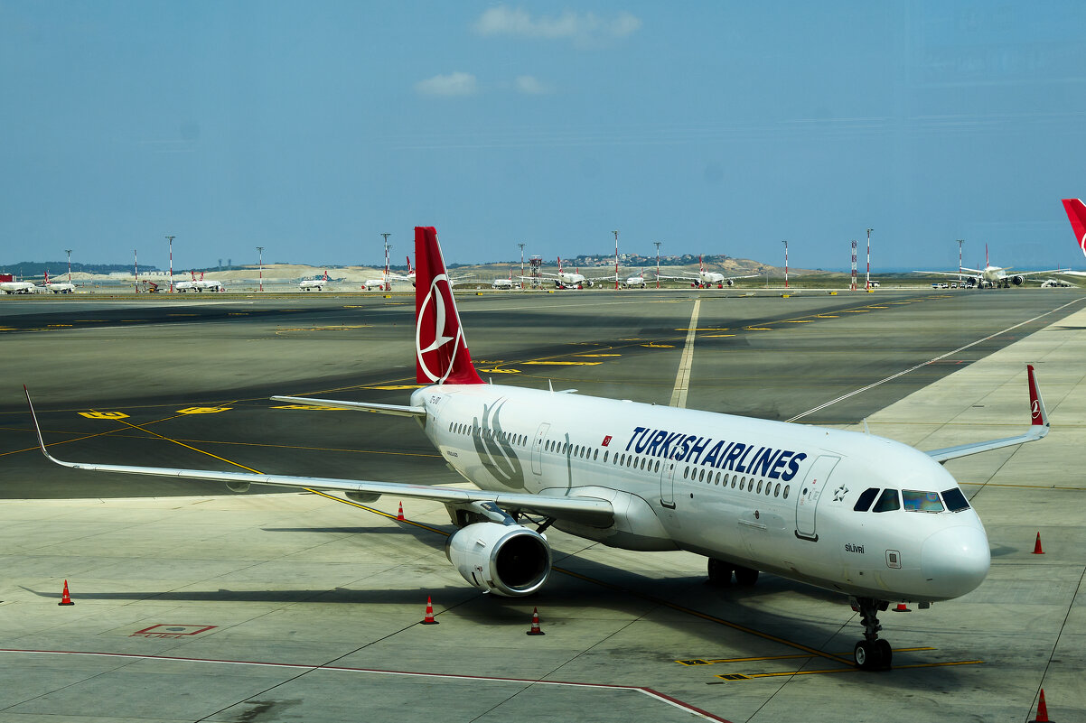 A-321 в аэропорту Стамбула - Алексей Р.