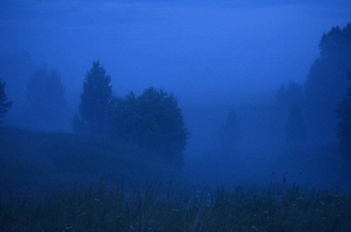 Синий туман 2 - Tim Andrews