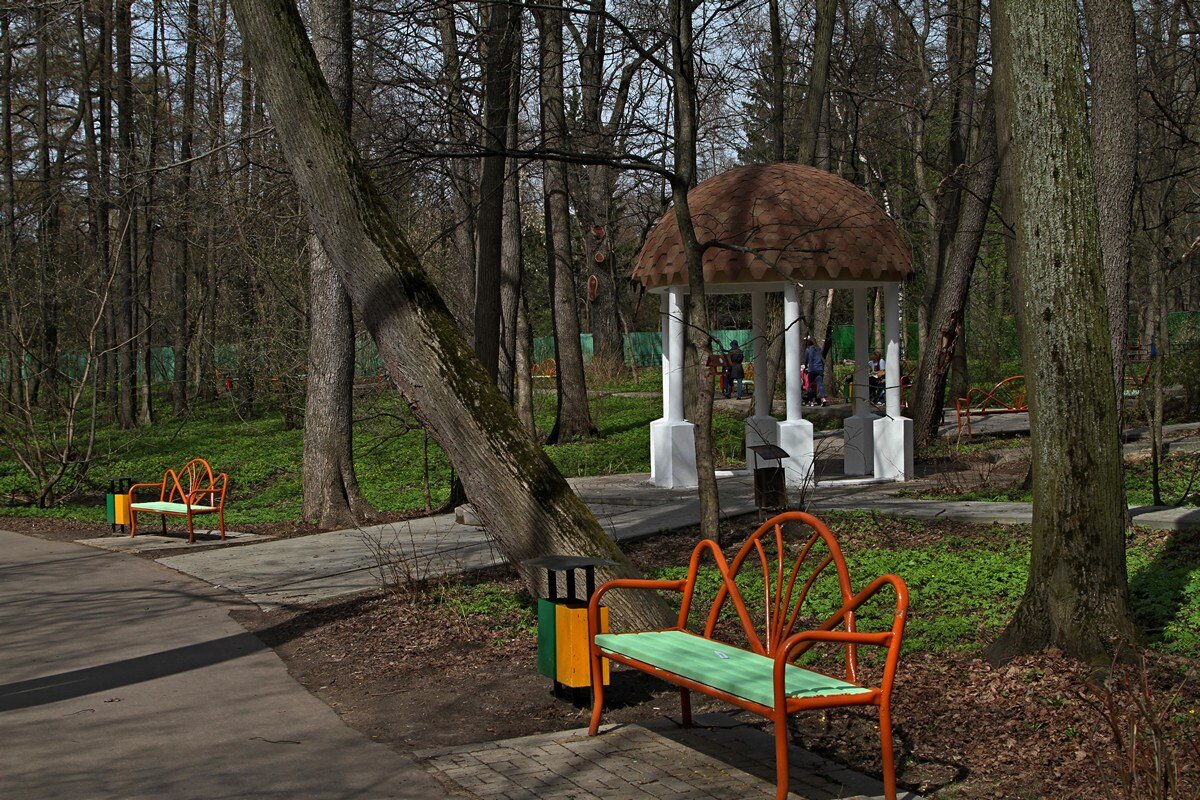 В Кузьминском парке - Игорь Белоногов