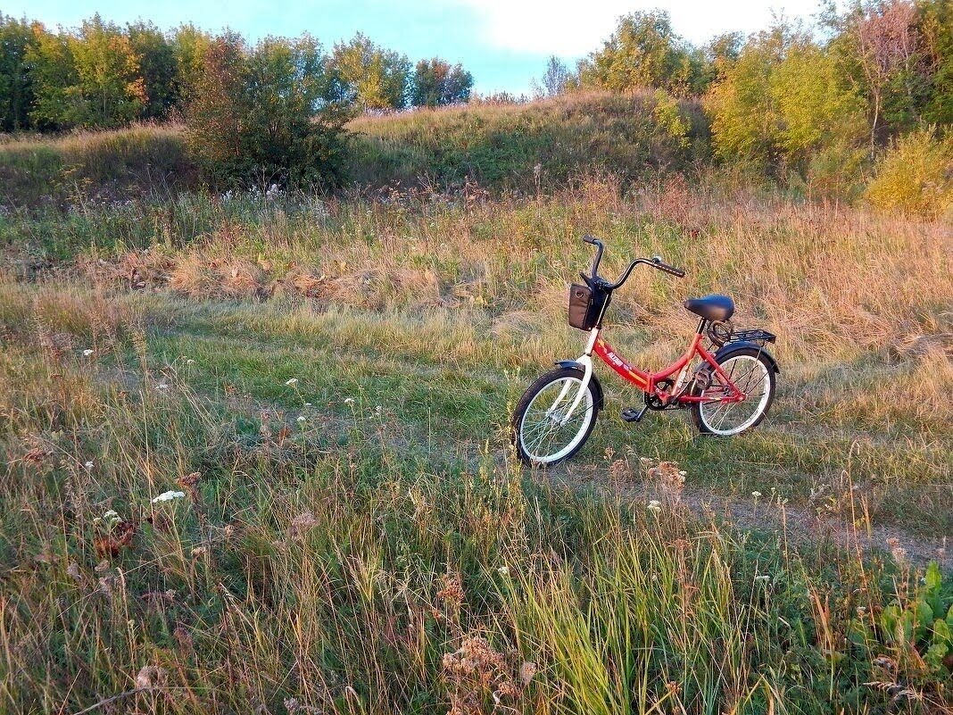 Пейзаж с велосипедом! ... (мой верный "пони" ) ) - Елена Хайдукова  ( Elena Fly )