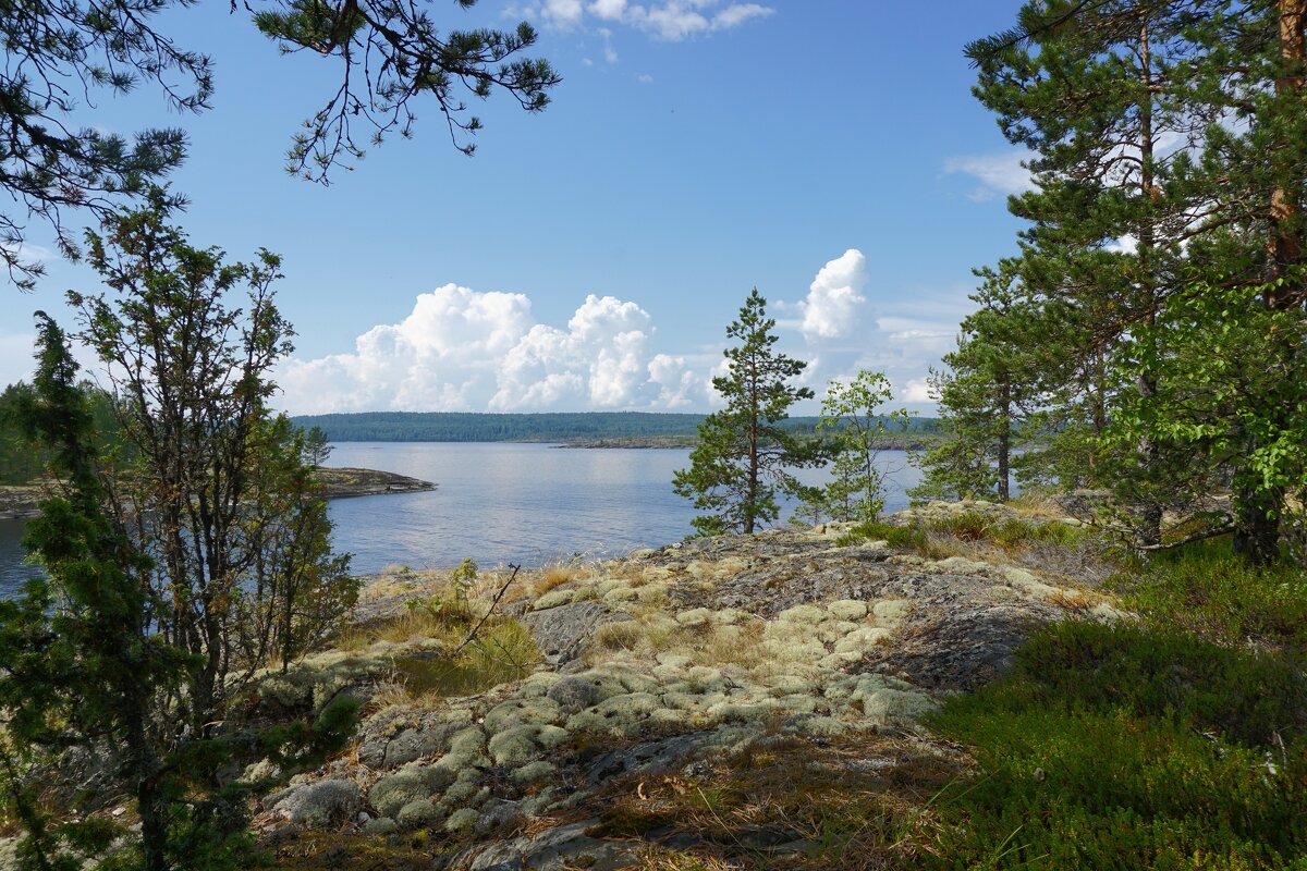 Карелия. Ладожское озеро. Сентябрь 2021