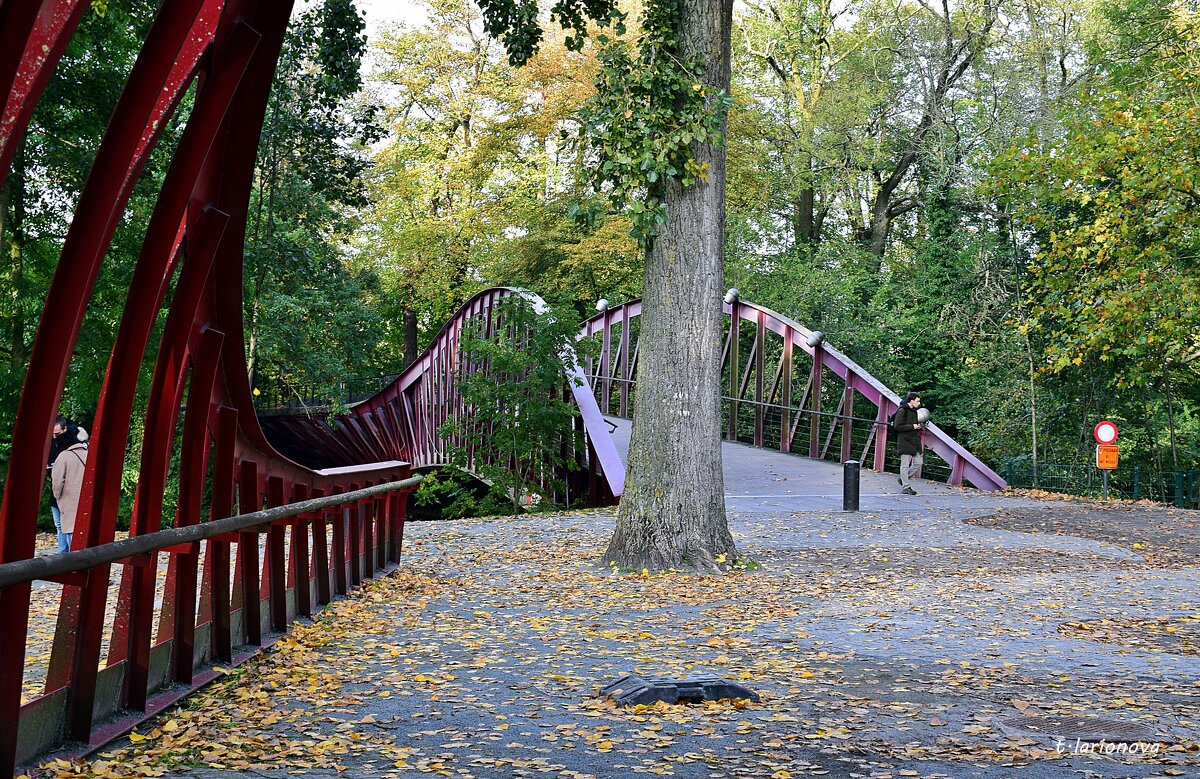Баржевый мост  в парке Минневатер. Брюгге - Татьяна Ларионова