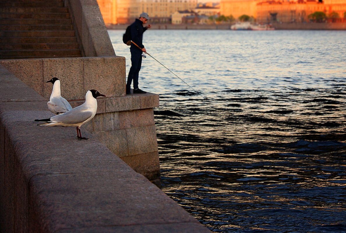 Городская рыбалка - Юлия Фотолюбитель