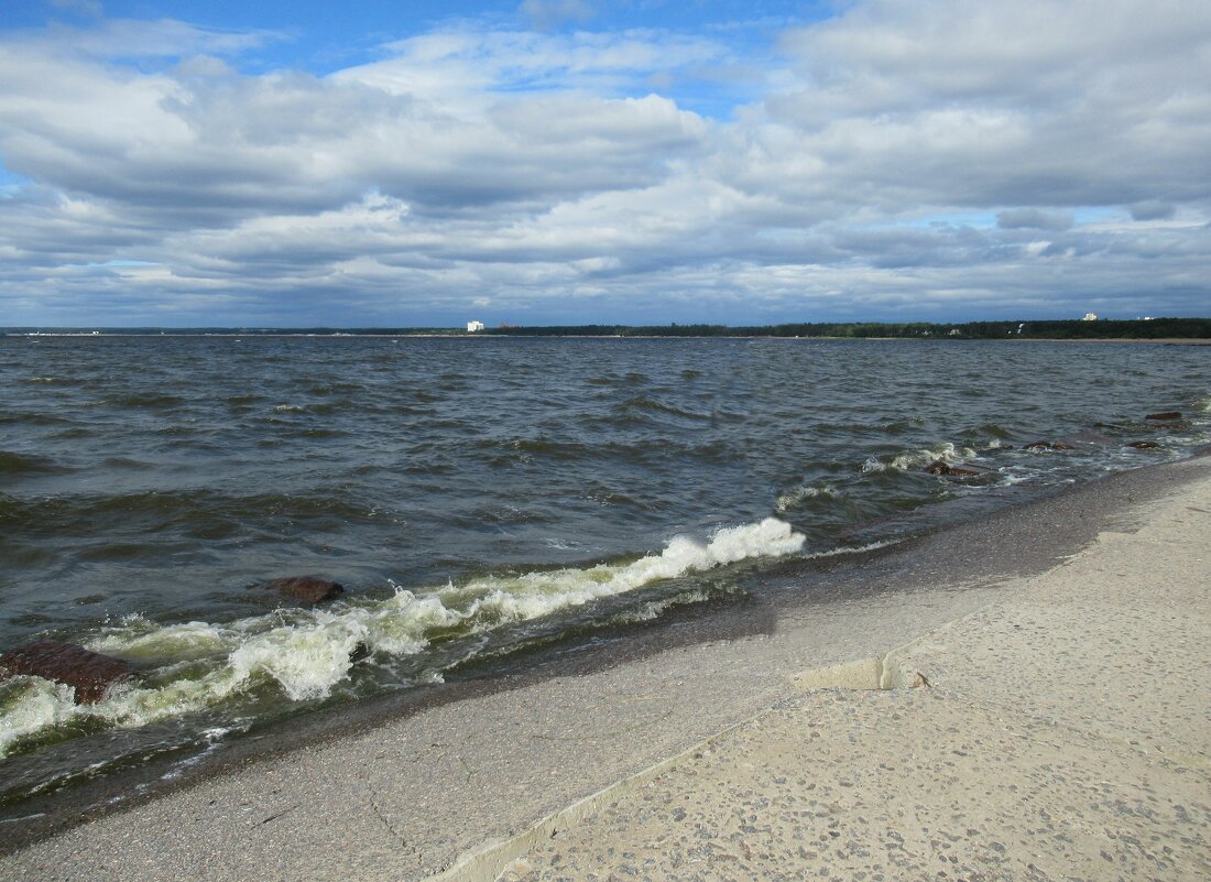 С западной оконечности парка "Дубки" открывается вид на Финский залив - Елена Павлова (Смолова)