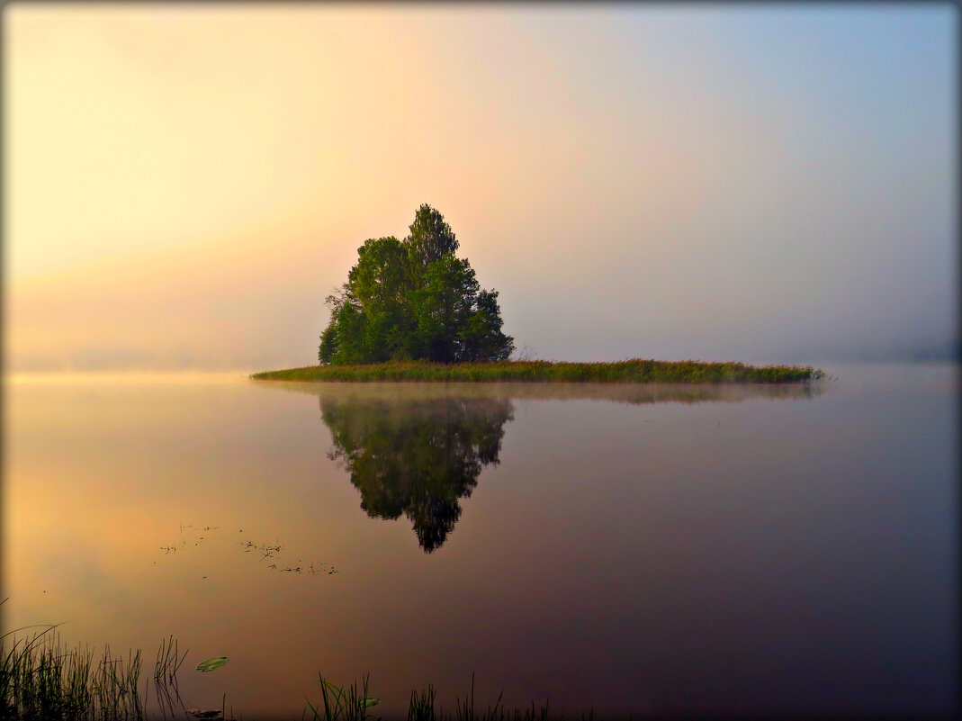 Туман на озере.Утро.5 ч 45 мин - Ольга Митрофанова