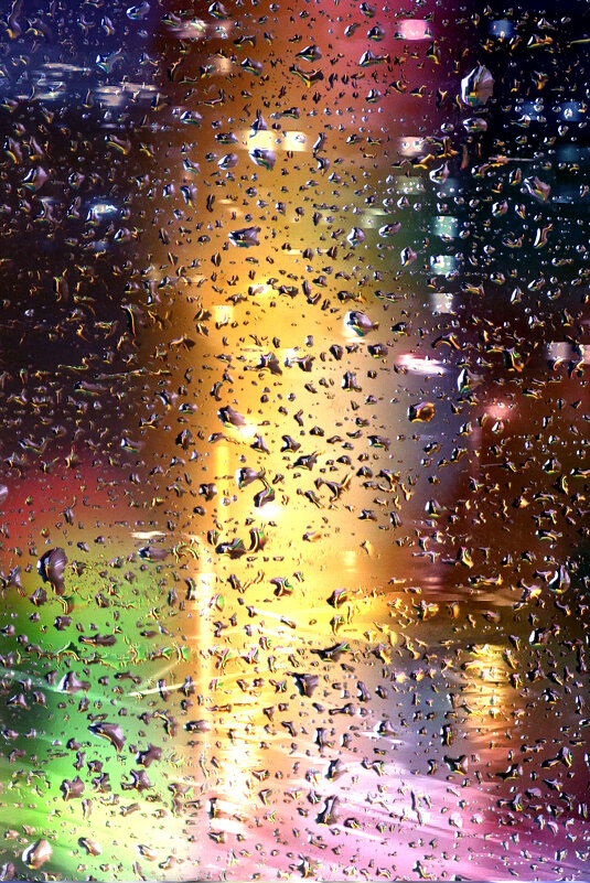 Свет рисует под дождем - Екатерина Торганская