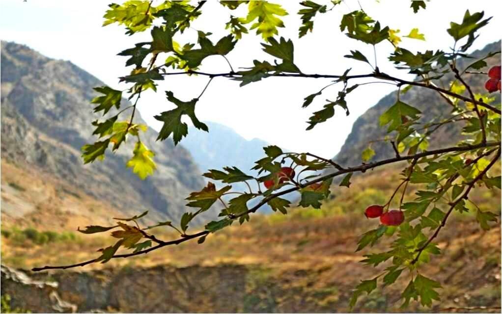 ПО ДОРОГЕ пешком. - Виктор Осипчук