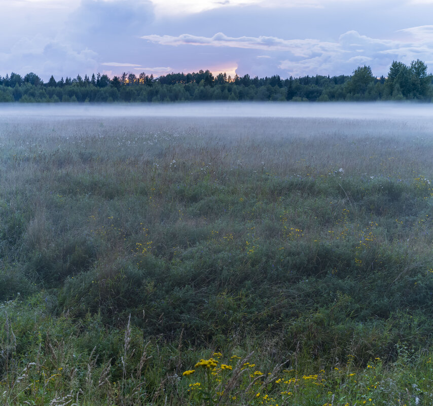 Августовский вечерний туман - Арина 