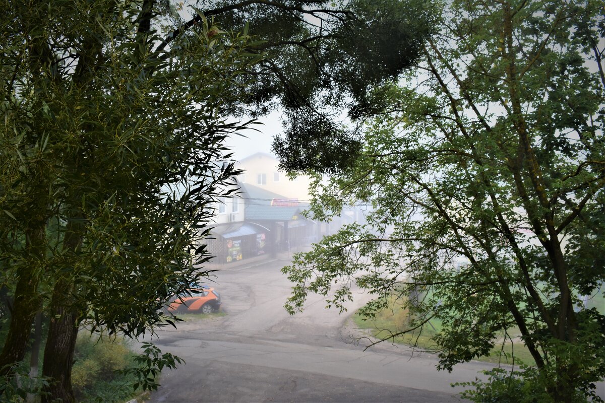 Улица утро туман - Василий 