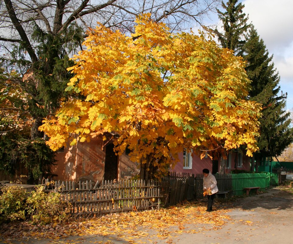 Осень - Владимир Помазан