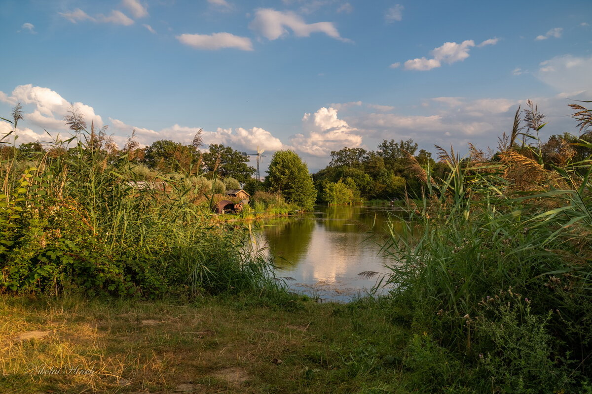 В просвет - Николай Гирш