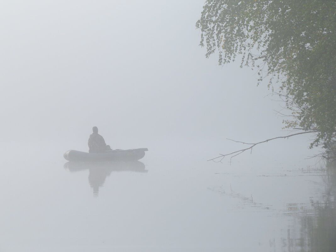 В тумане - Андрей Зайцев