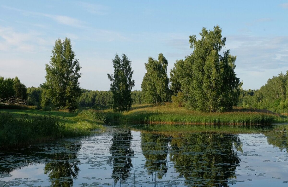 Петровское - Сергей 