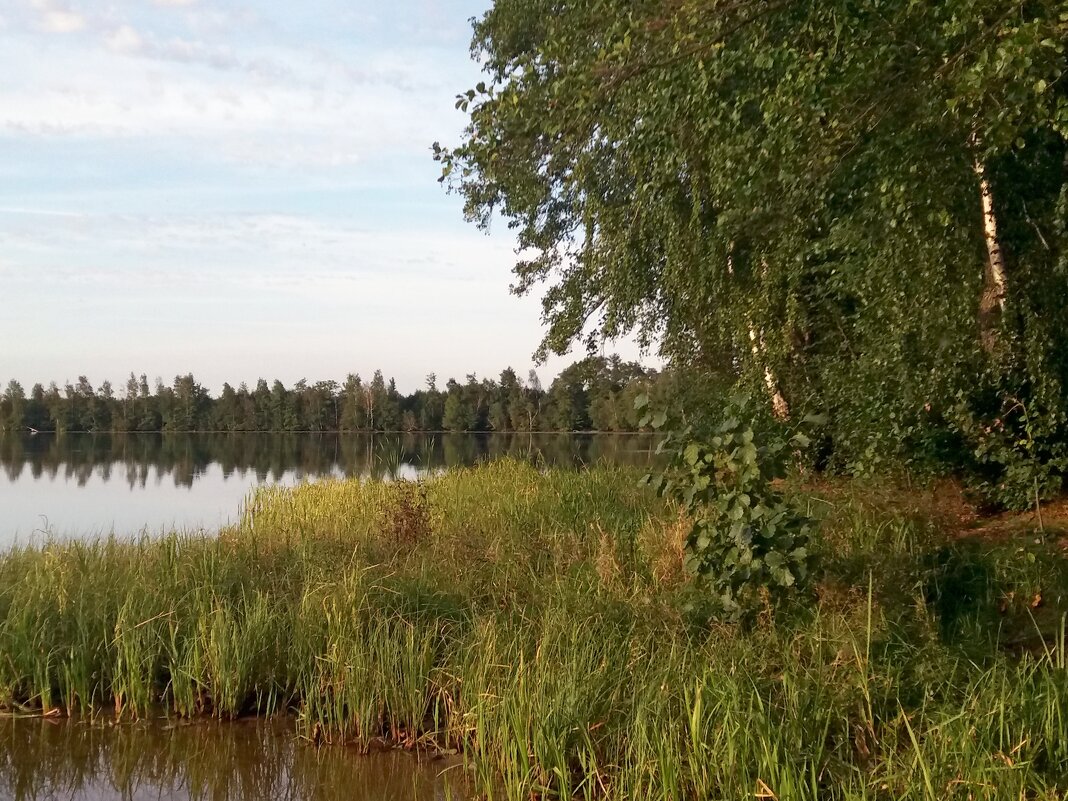 На берегу озера - Galina Solovova