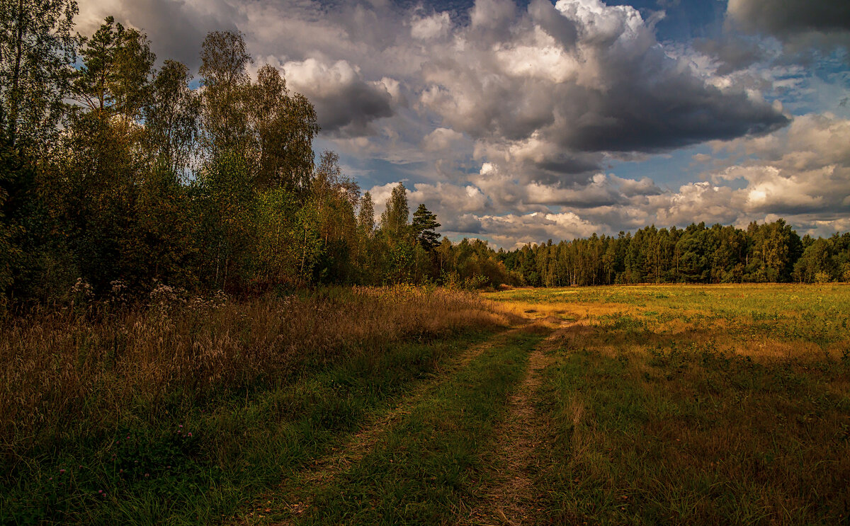 Вот и осень закружила карусель мелодий - Андрей Дворников
