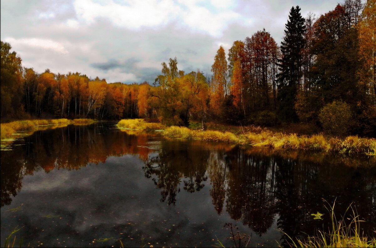 -----------russian autumn---------- - AL 