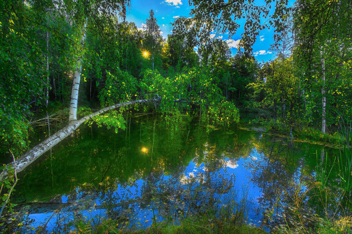 Лесное озеро - Vladimbormotov 