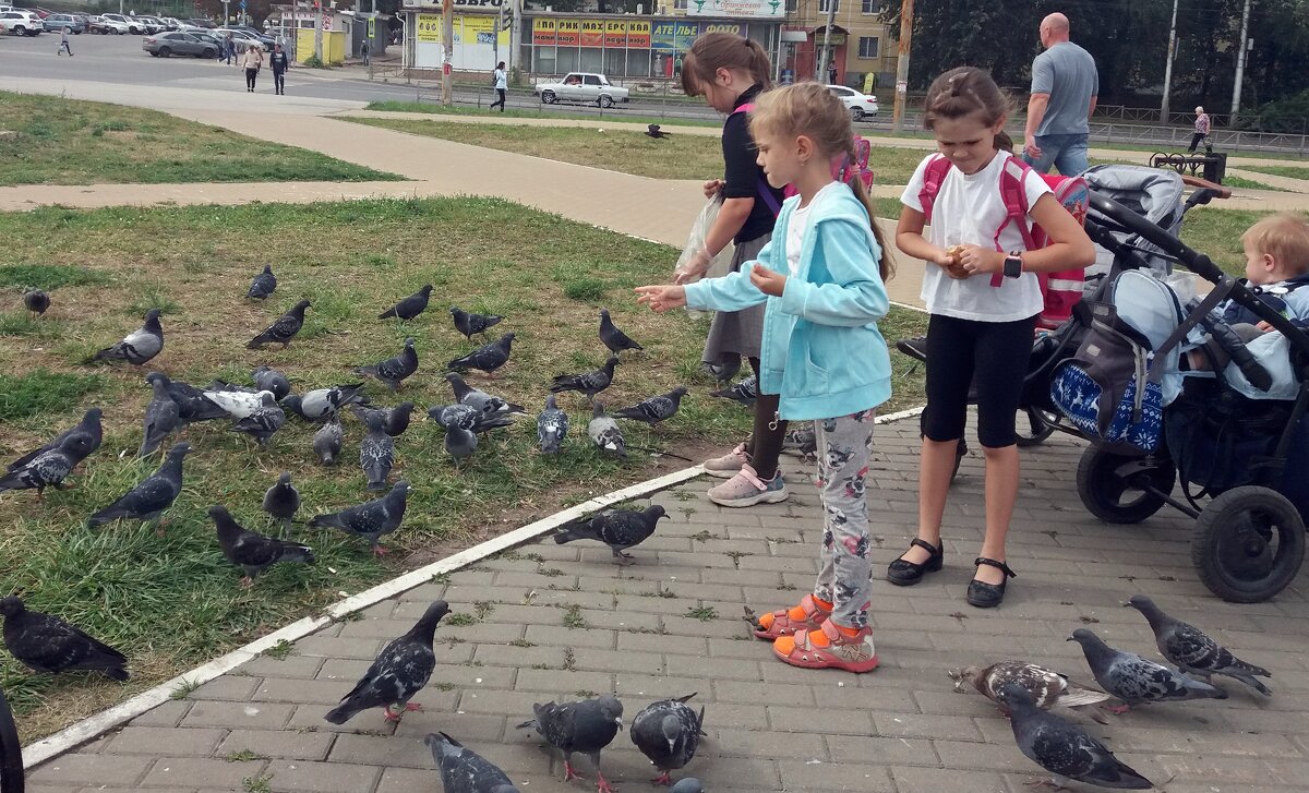 Дети и голуби - Galina Solovova