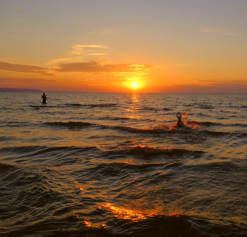 Lake Huron. Games with dog. - Alexander Hersonski