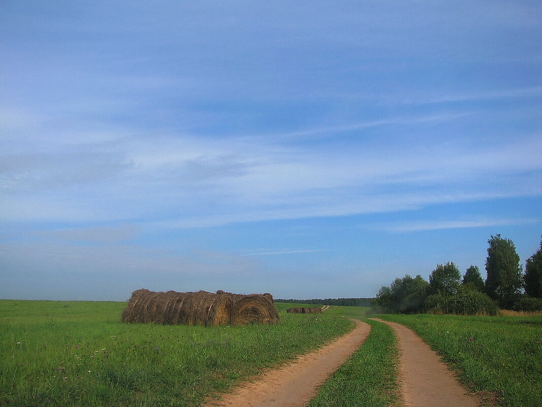 В поле - Людмила Смородинская