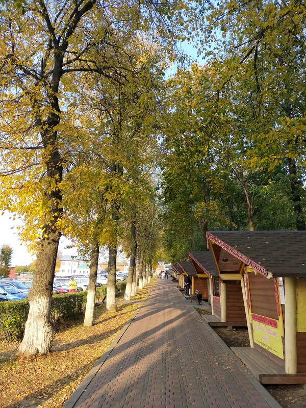 Осень в Зарайске. Улица Кузнецкий спуск. - Yulia Raspopova