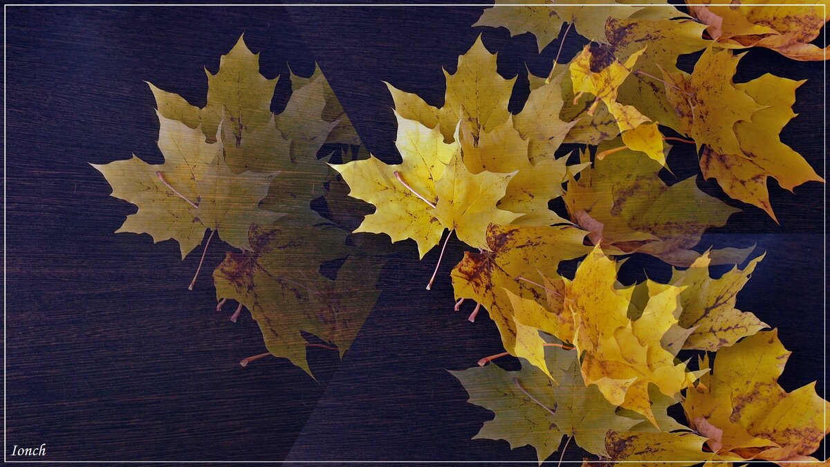 Листья закружат, листья закружат... - muh5257 