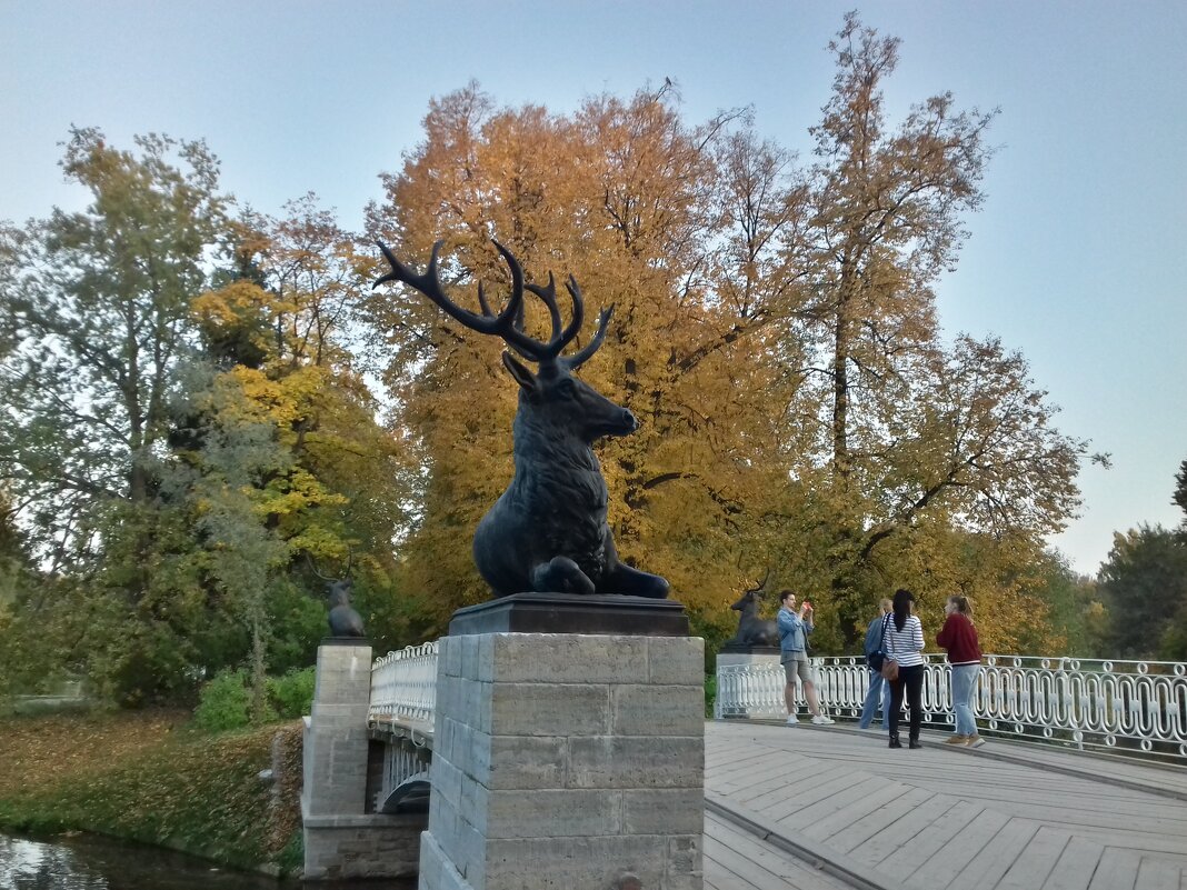 Золотая осень - Сапсан 