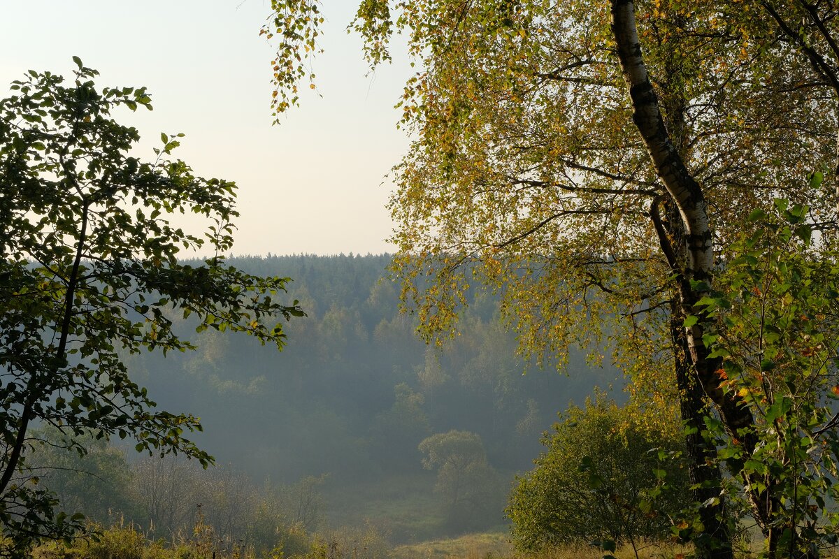 * - Вадим 