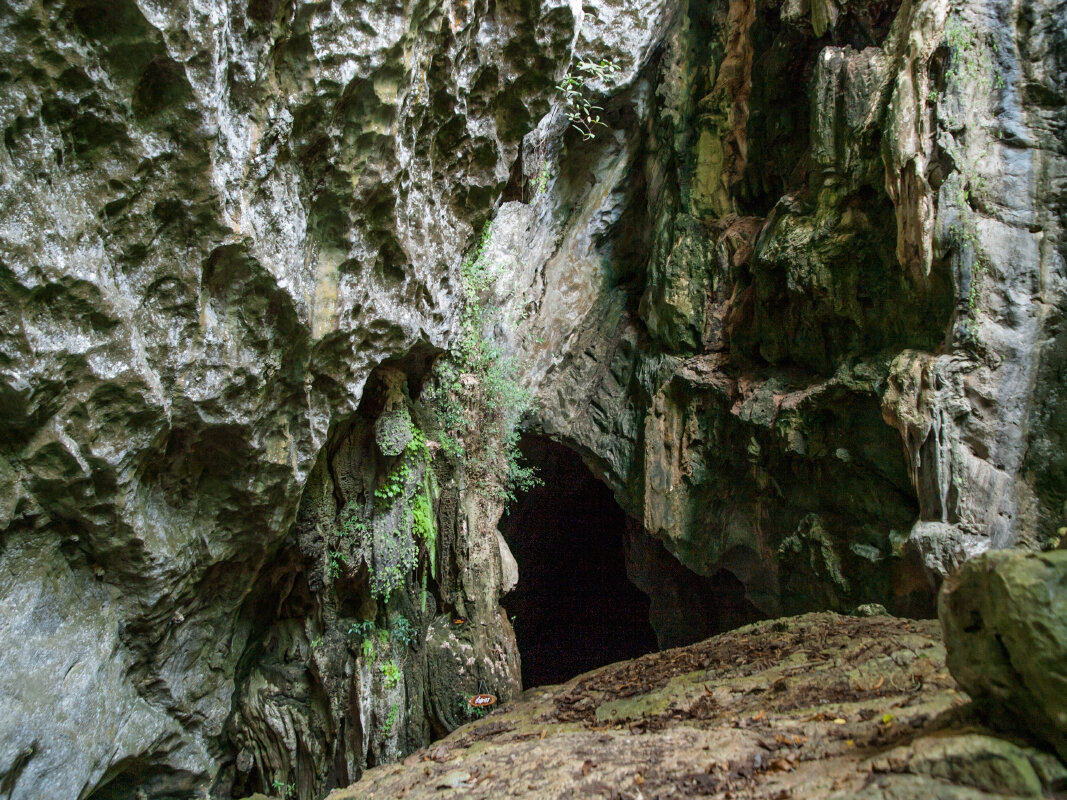 В пещерах - Николай 