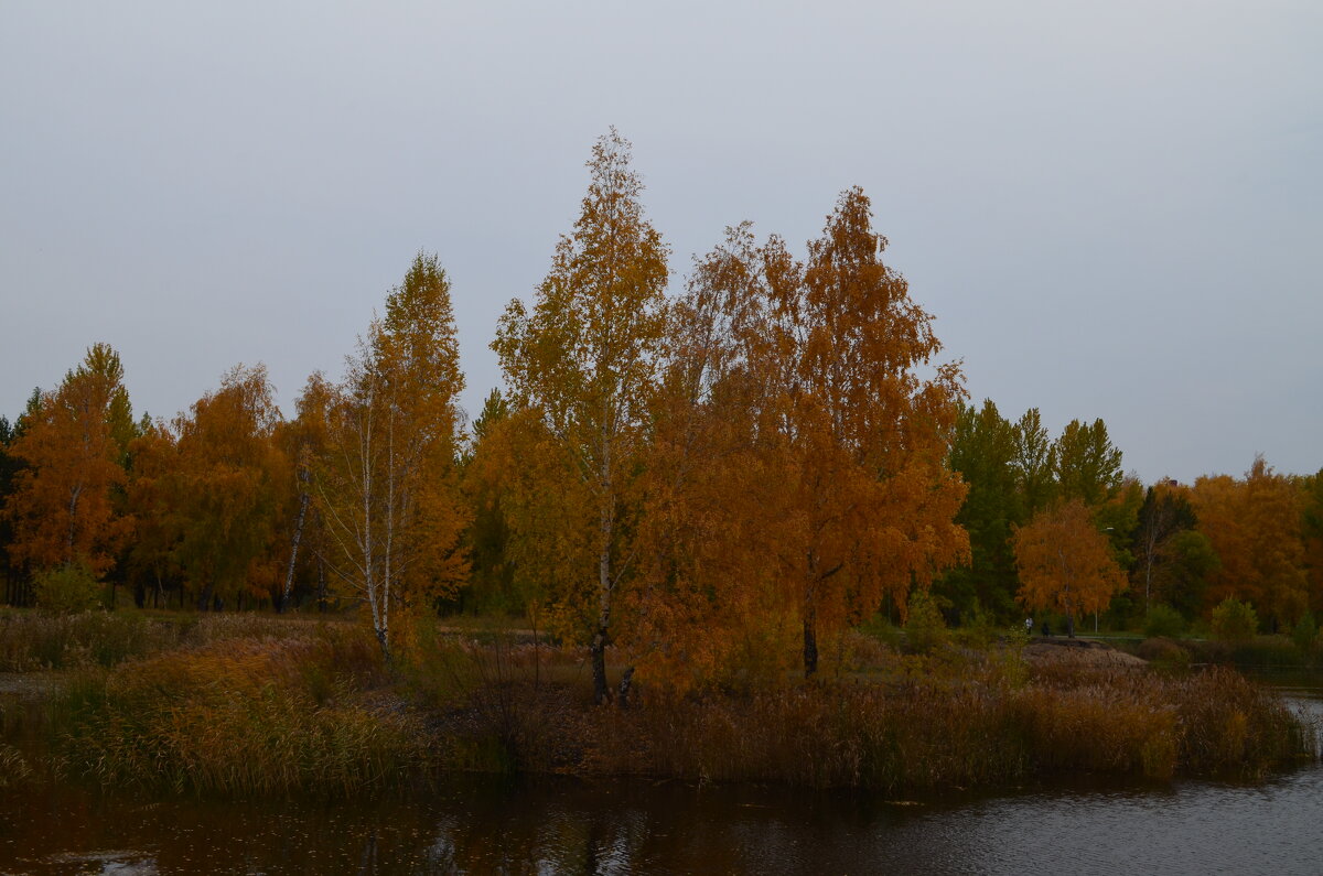 Осень - Savayr 