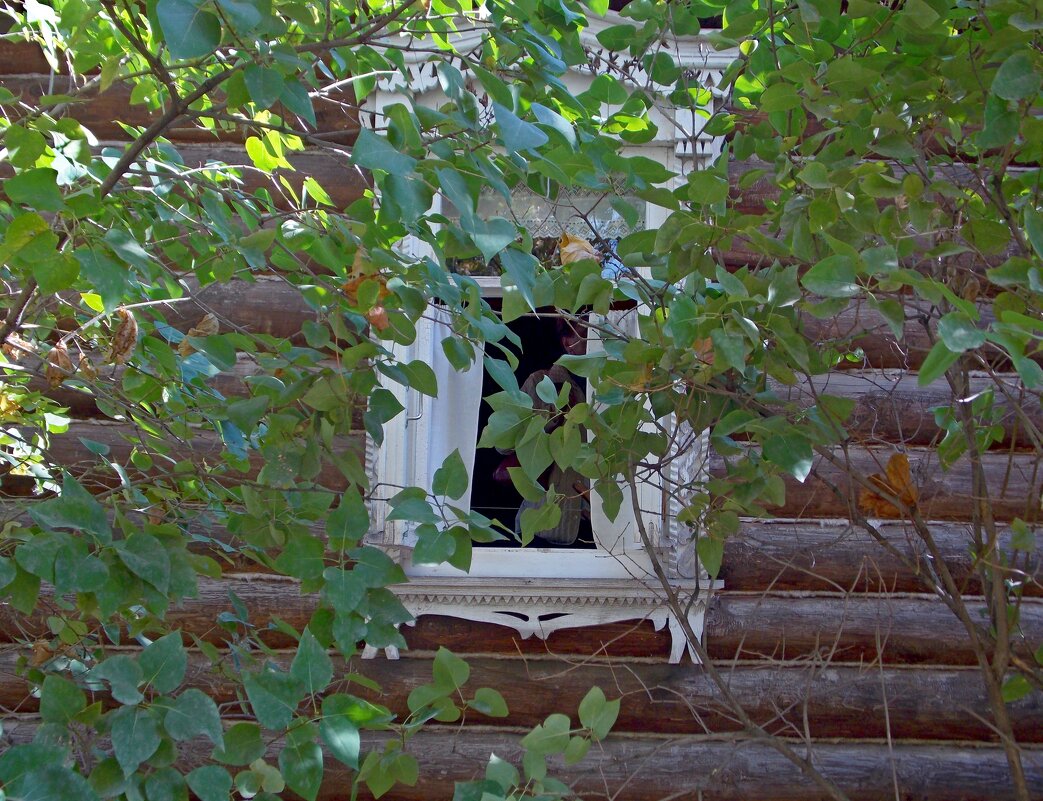 Окно в дом ,где жил Сергей Есенин - Galina Solovova