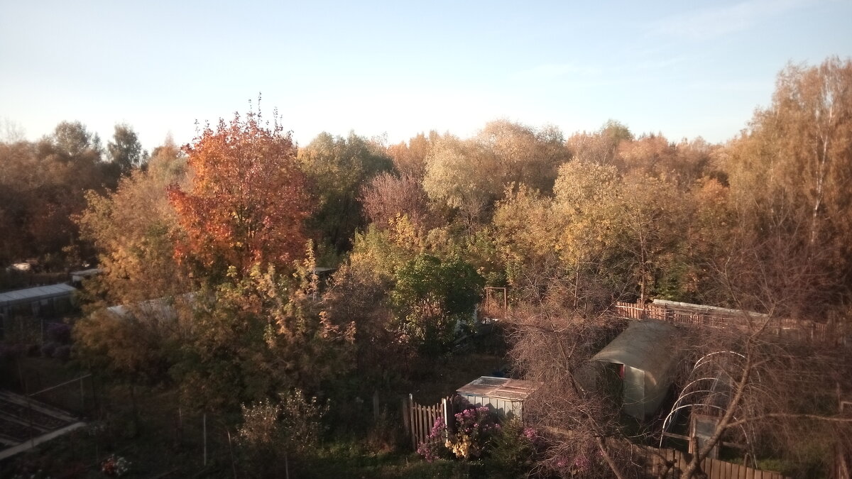 Вид на осень из окна - Серж Поветкин