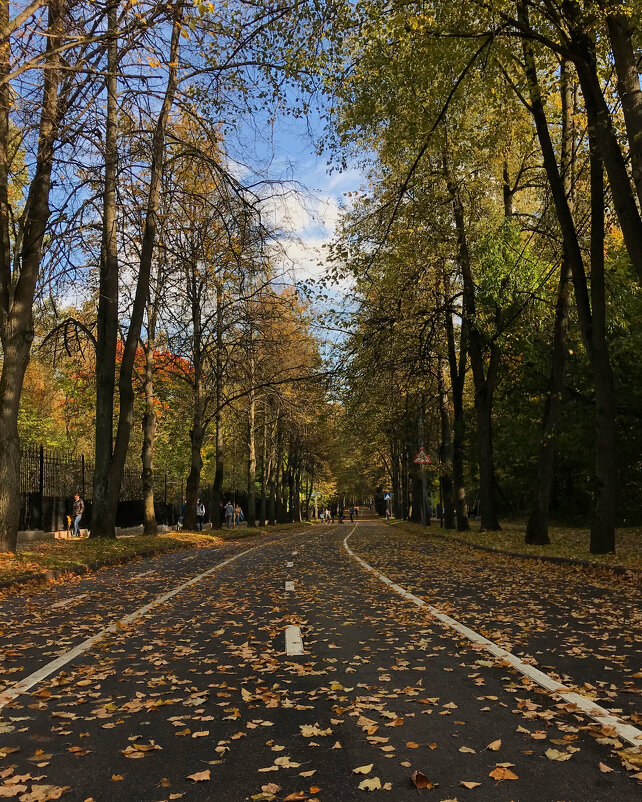 Осенняя дорожка ... - Лариса Корженевская