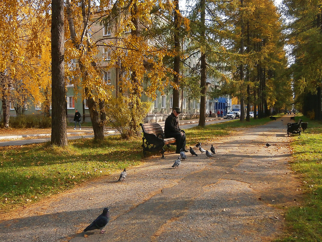 Осень в парке. - Валерьян Запорожченко