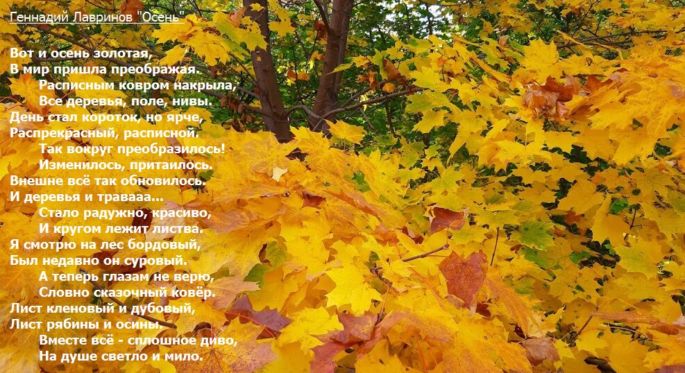 Золотая осень на средней Волге - Геннадий Лавринов