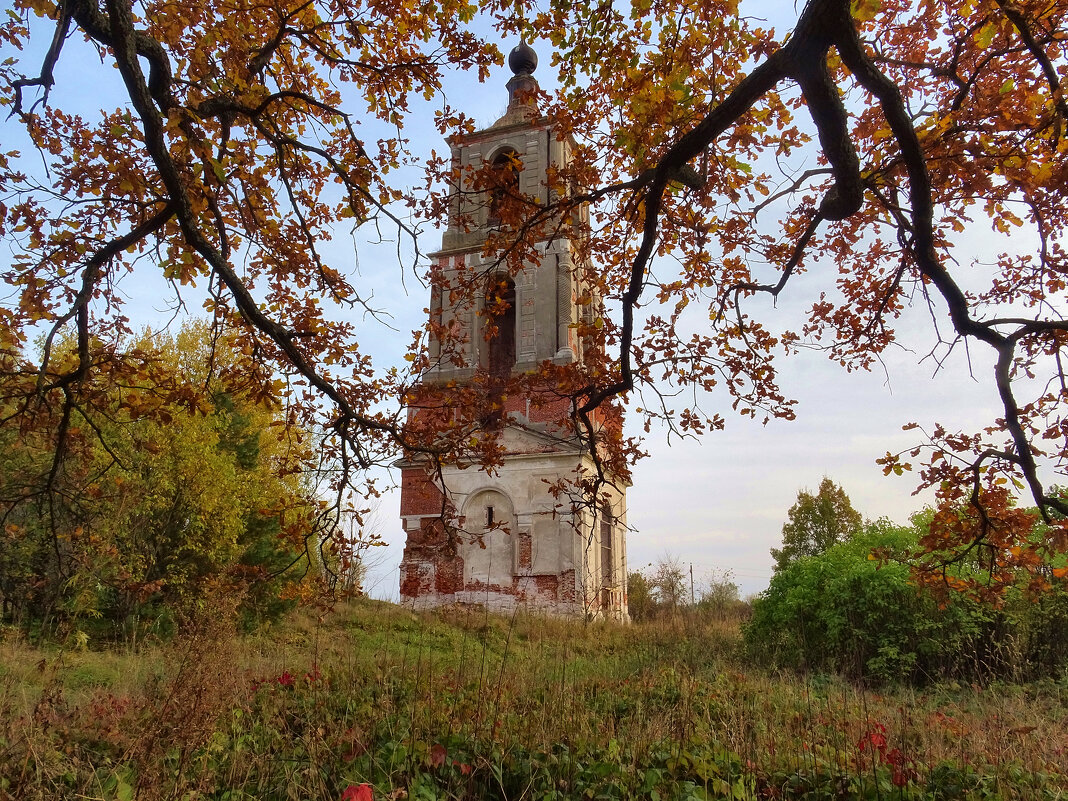 Урочище Аргуново. Колокольня церкви Николая Чудотворца. - Денис Бочкарёв