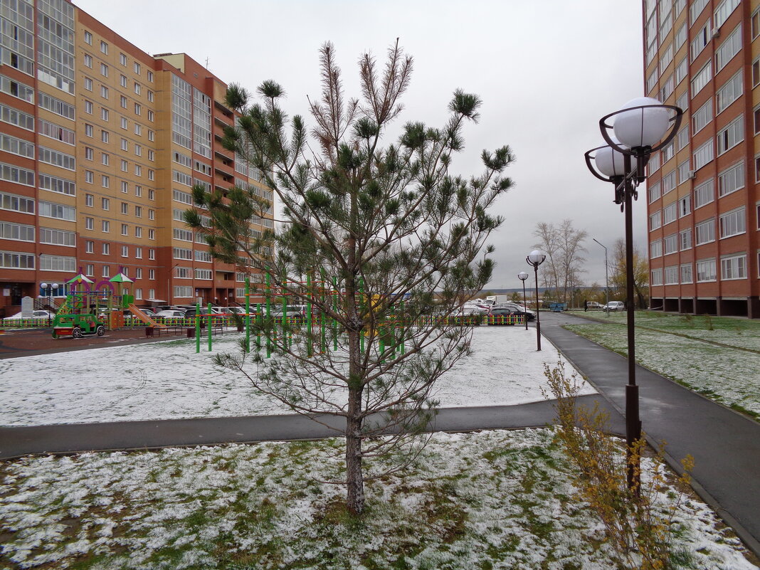 Снег. Начало октября - Андрей Макурин