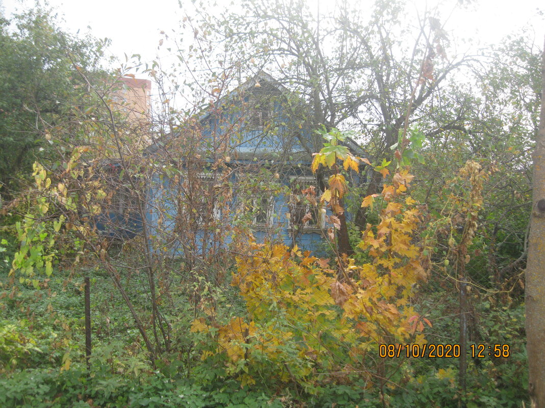 Старый дом - Maikl Smit