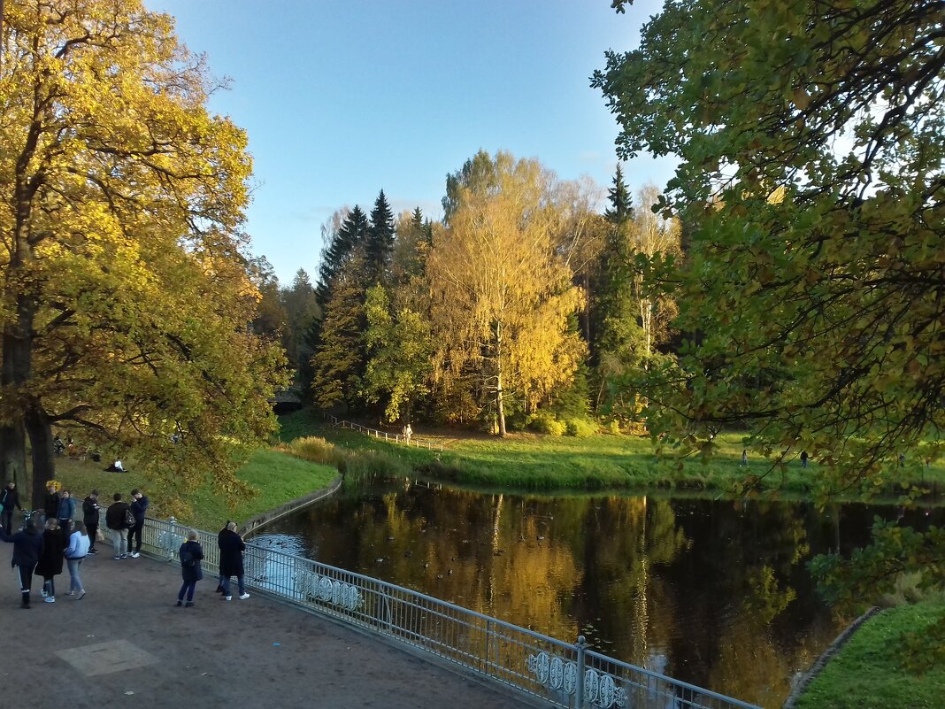 пиль башня павловск