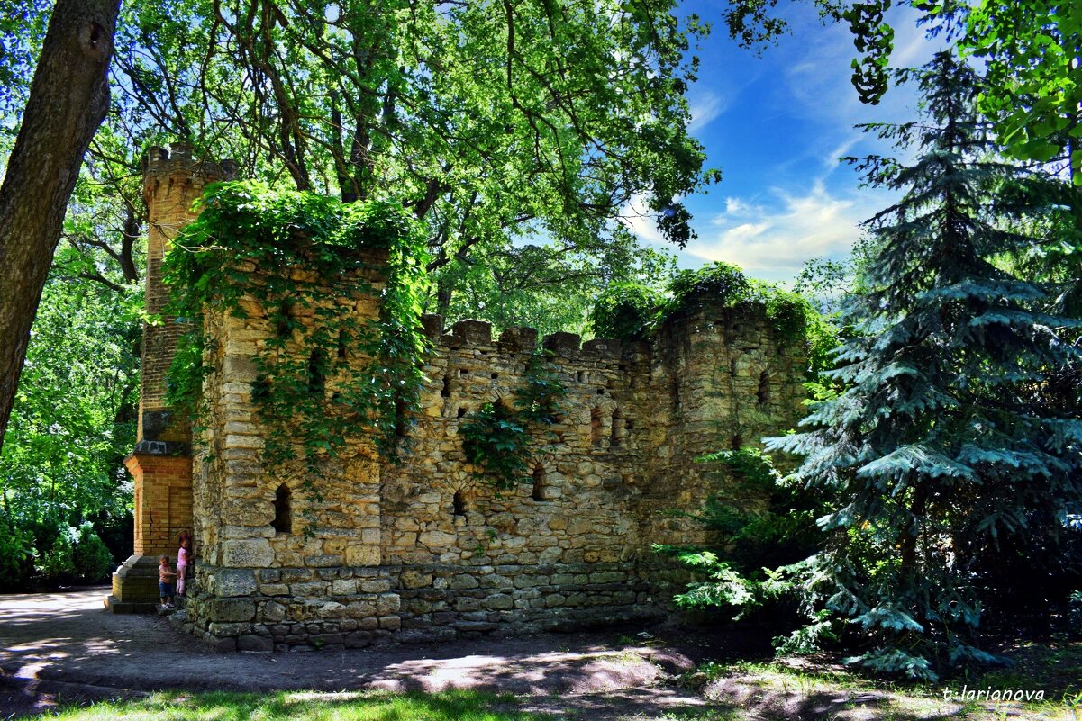 В парке Аскания-Нова - Татьяна Ларионова