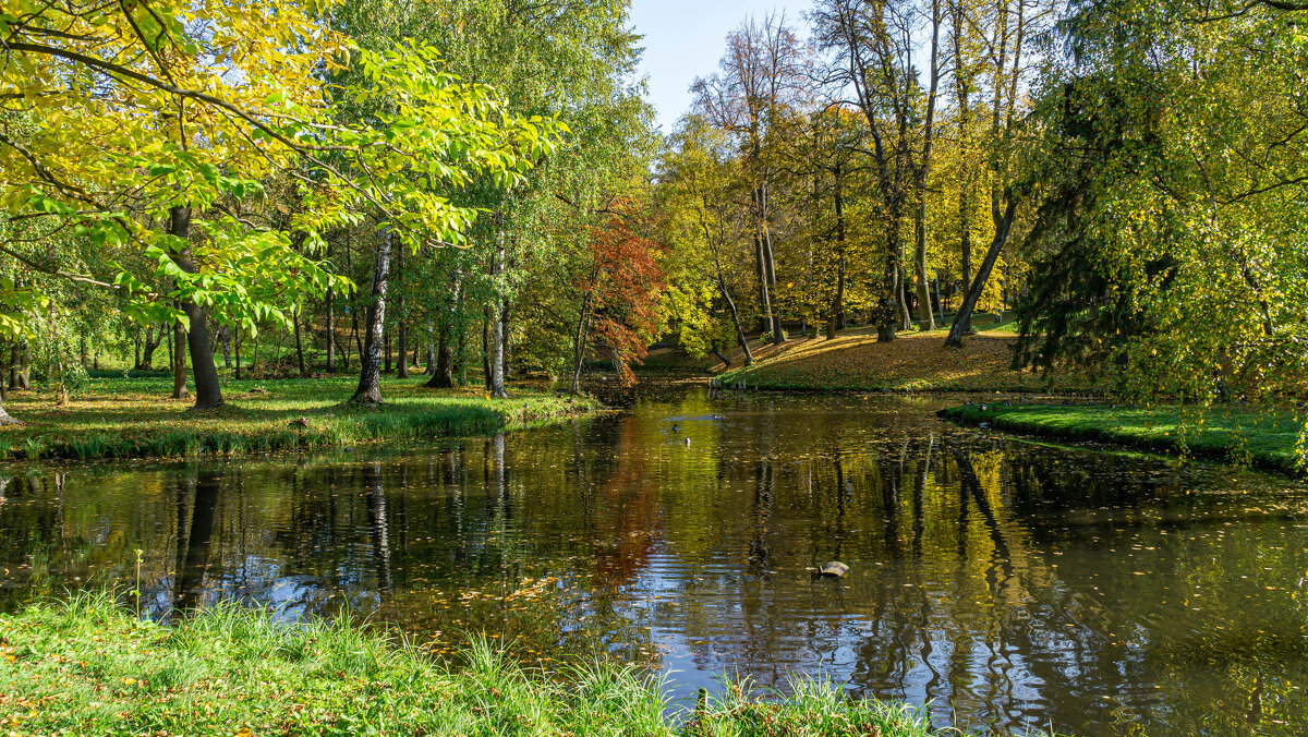 Гатчина. дворцовый парк. Осень. - Павел © Смирнов