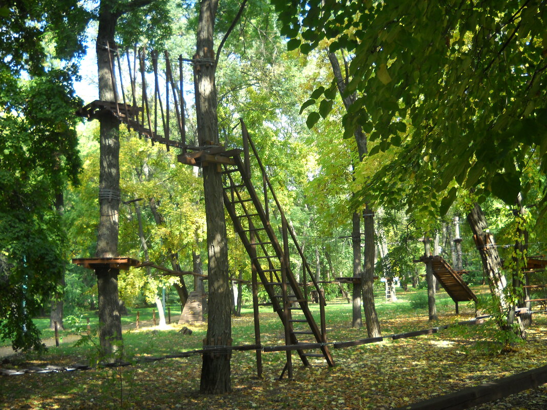 Таганрог. Городской Парк. - Victoria 