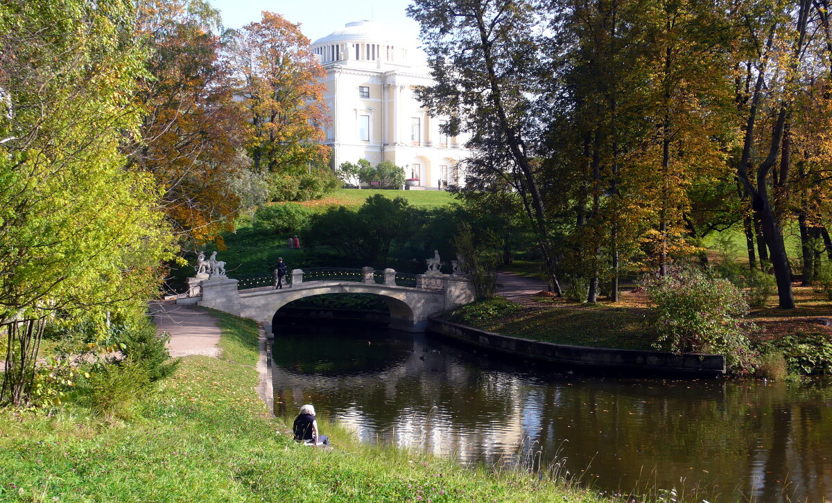 Павловск - Таэлюр 