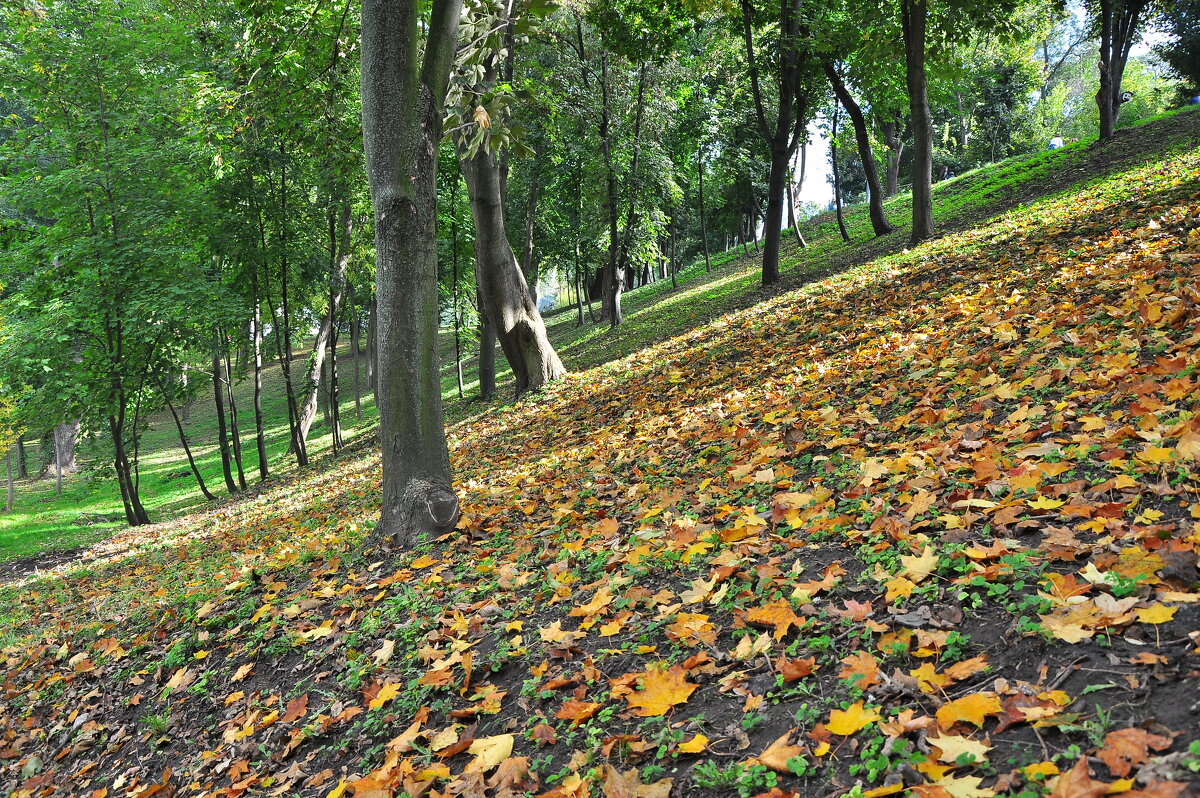 Осень в парке - Юрий K...