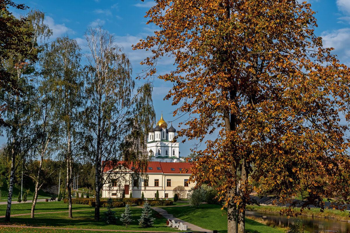 *** - Виктор Желенговский