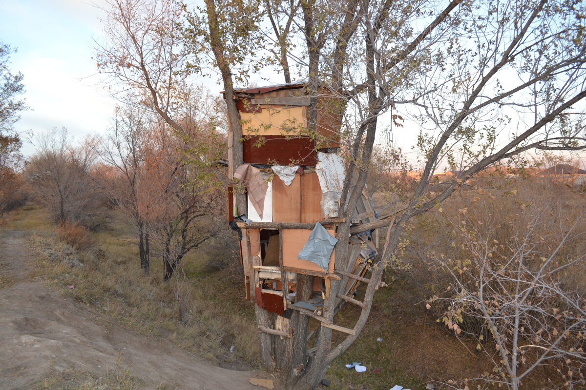 Трёх этажный уютный домик,с видом на лесок... - Андрей Хлопонин