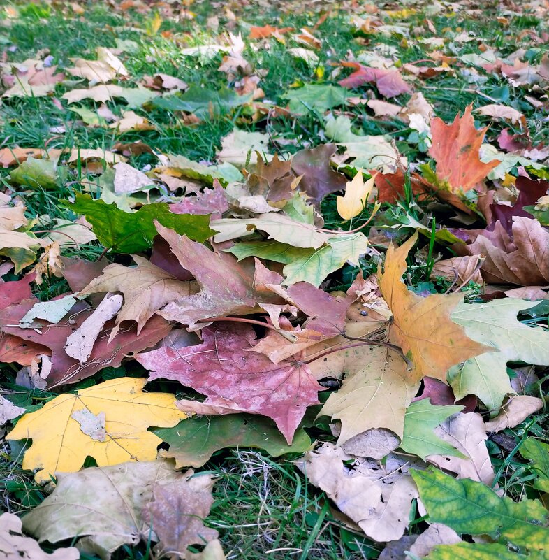 Под шорох осенних листьев... - Yulia Raspopova