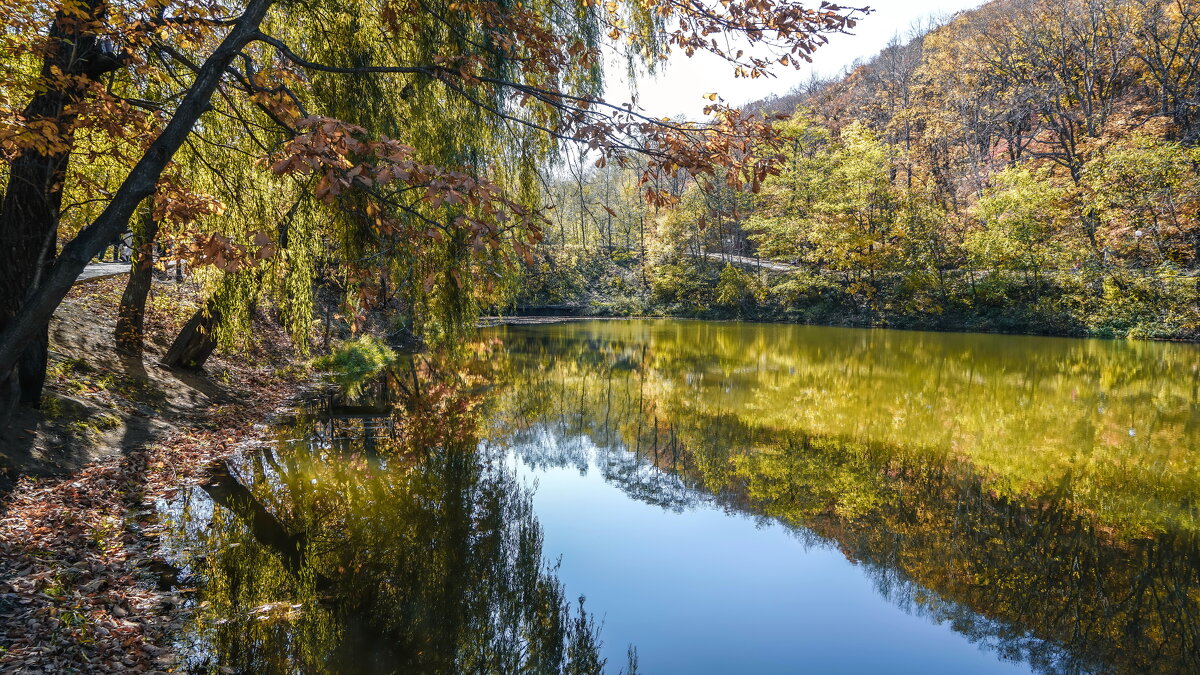 Золотая осень - Эдуард Куклин