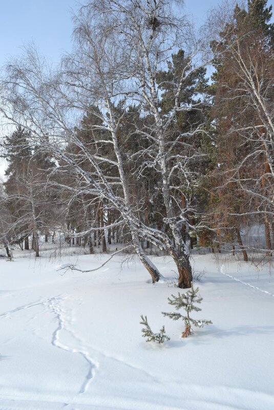 Зима,где то рядом уже... - Андрей Хлопонин